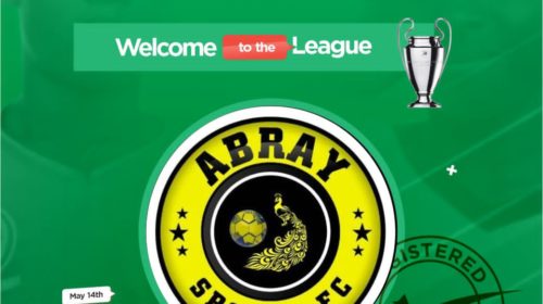 Abraysports YEG League