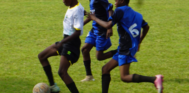 DSC06733