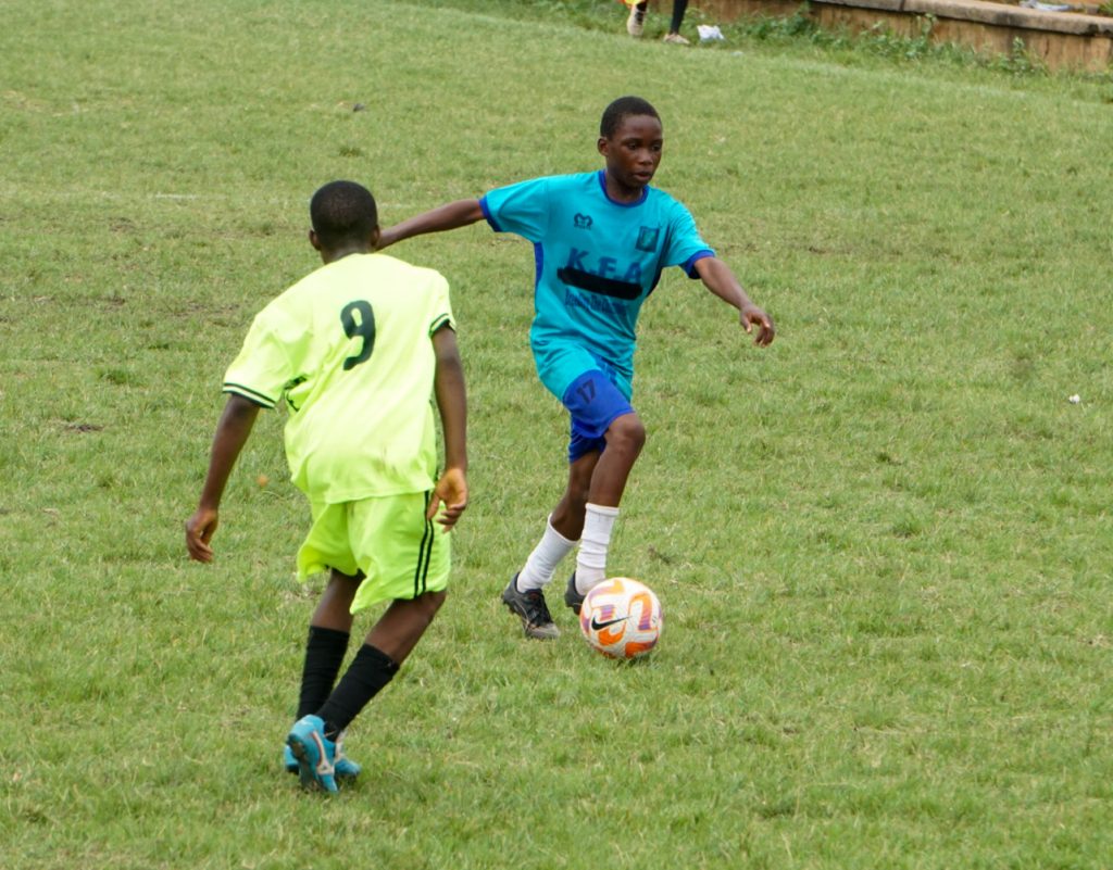 DSC08381